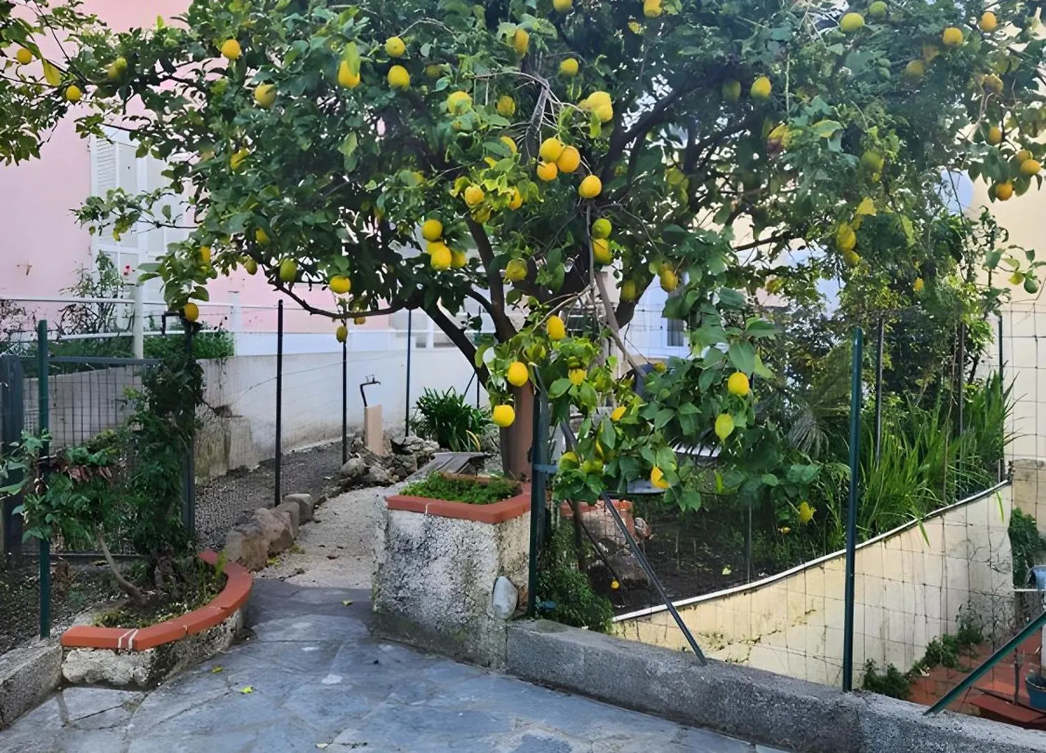 Appartement Avec Jardin - Le Citronnier contacts