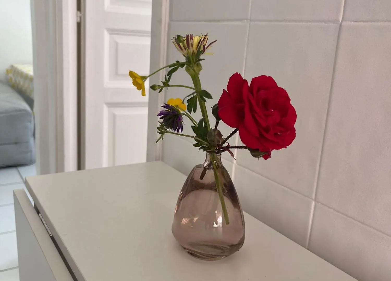 Appartement Avec Jardin - Le Citronnier Menton France